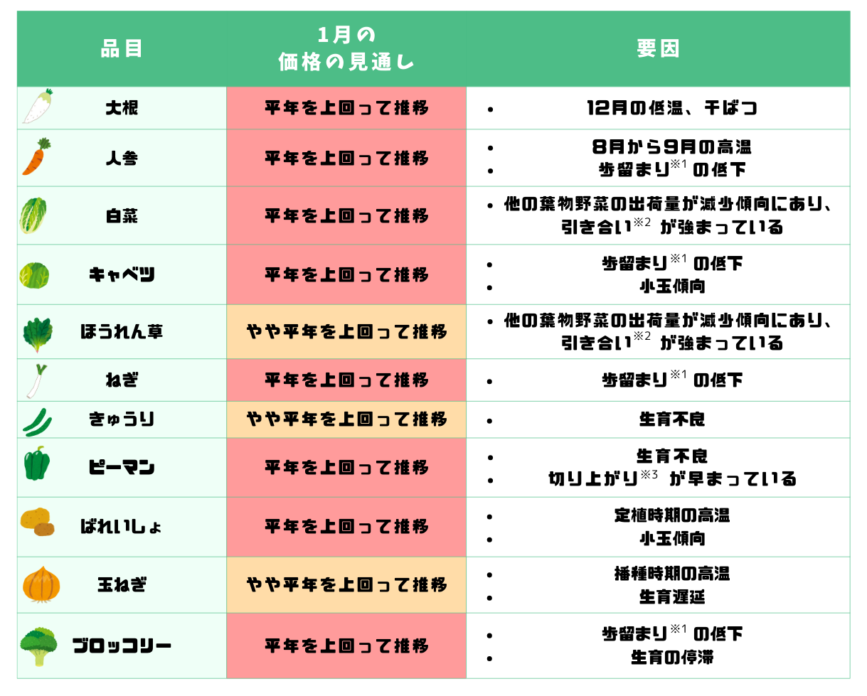 主要野菜の価格の見通し (1).png