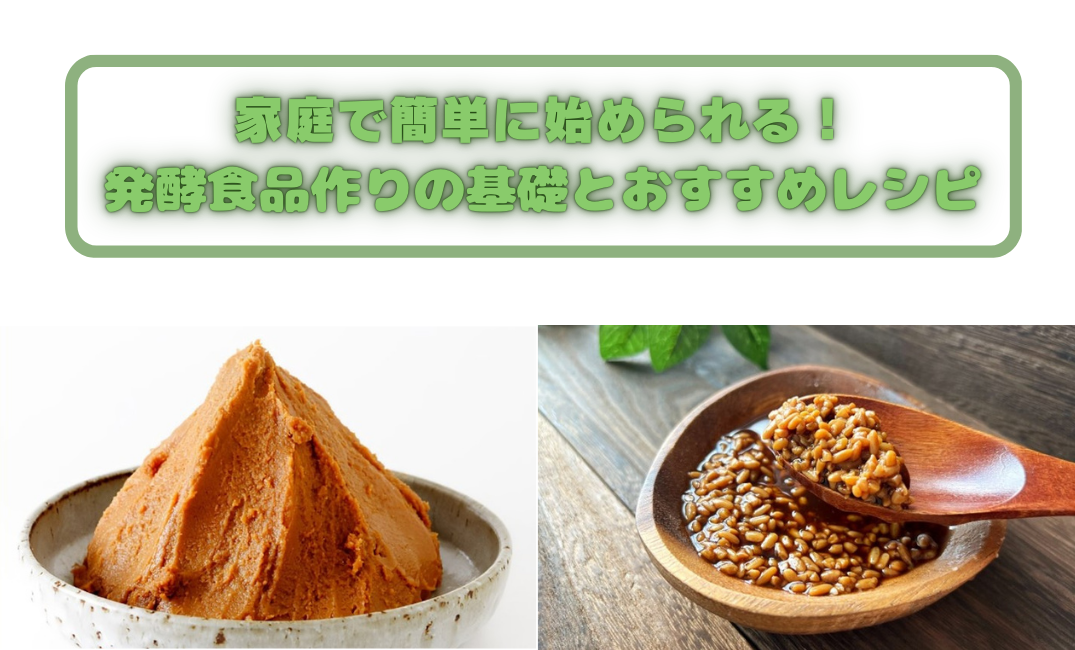 家庭で簡単に始められる！発酵食品作りの基礎とおすすめレシピ 