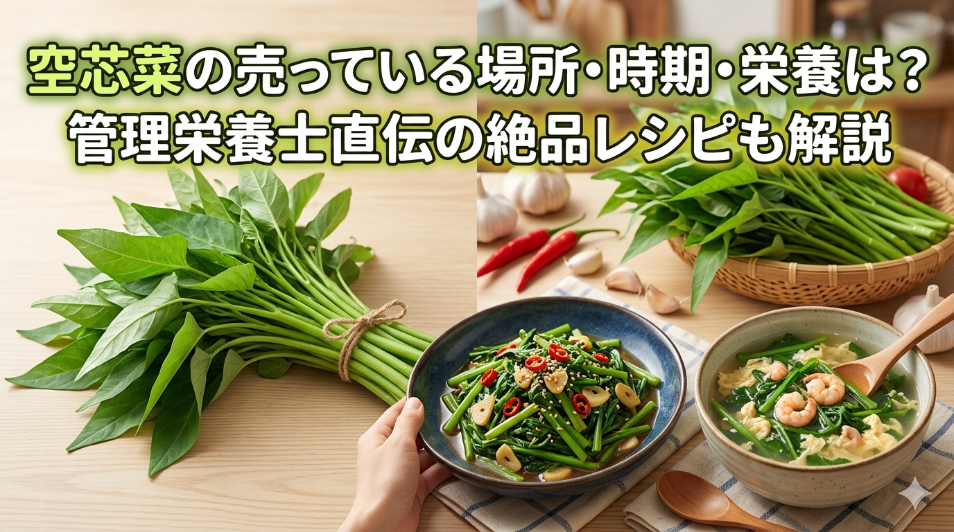 空芯菜の売っている場所・時期・栄養は？管理栄養士直伝の絶品レシピも解説